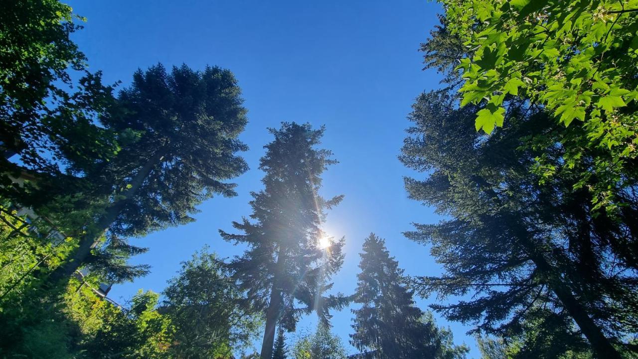 Rezydencja Barrettski Wisła Buitenkant foto
